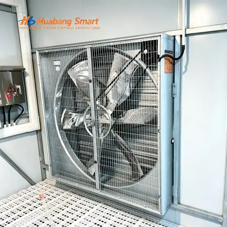 The Importance of Using Chicken Farm Exhaust Fan